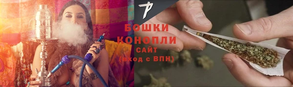 таблы Богородицк