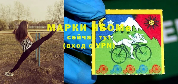 таблы Богородицк