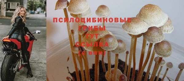 кокаин колумбия Богданович
