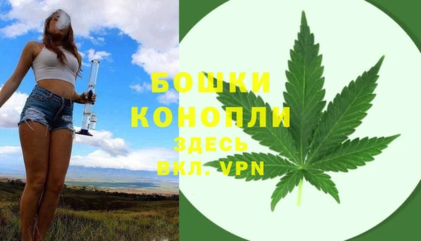 таблы Богородицк