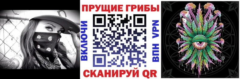Галлюциногенные грибы Cubensis  Котово 