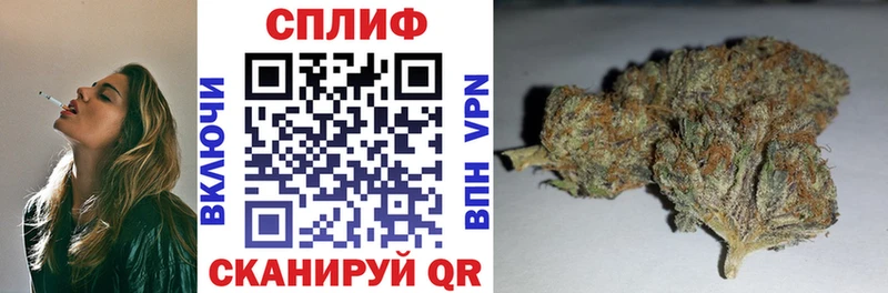 Конопля SATIVA & INDICA Котово
